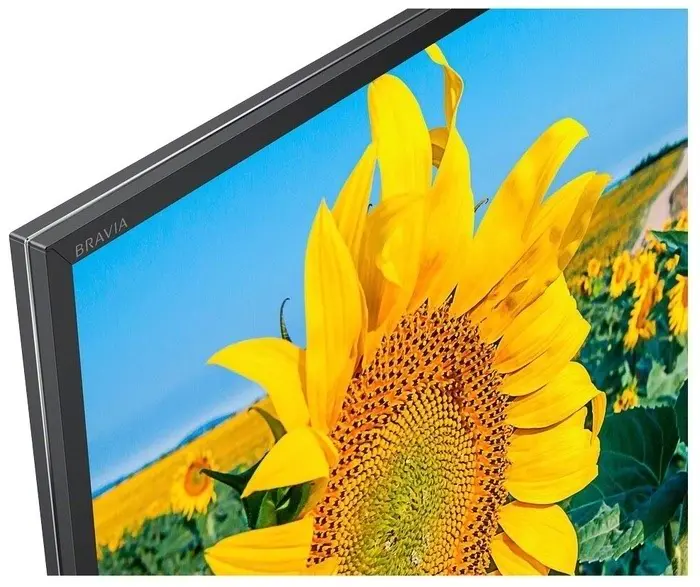 Televizor Sony KD43XH8096BAEP, negru