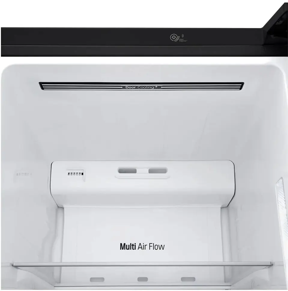 Frigider LG GC-Q247CBDC, negru
