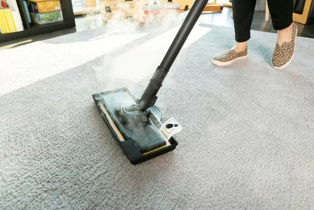 Пароочиститель Karcher SC 3 Deluxe, белый