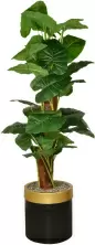 Искусственное растение Cilgin A133B Uzun Difenbahya 1.70м