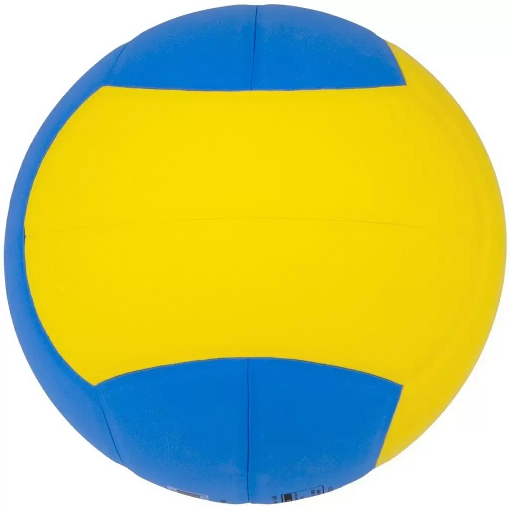 Мяч волейбольный Mikasa DS20