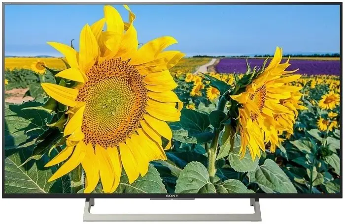 Televizor Sony KD43XH8096BAEP, negru