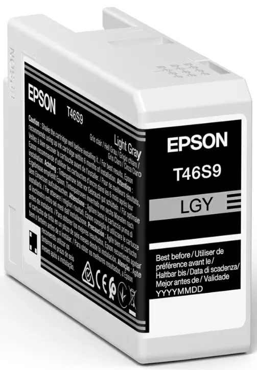 Картридж Epson C13T46S900, light gray