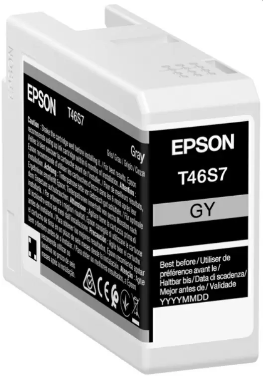 Cartuș Epson C13T46S700, gray