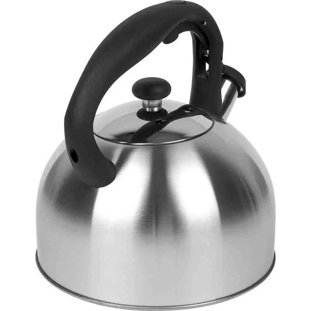 Ceainic Tadar Larry 3L, inox