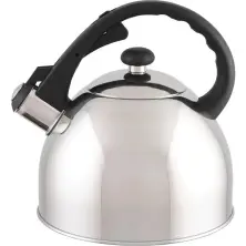 Ceainic Domotti Ponti 1.5L, inox