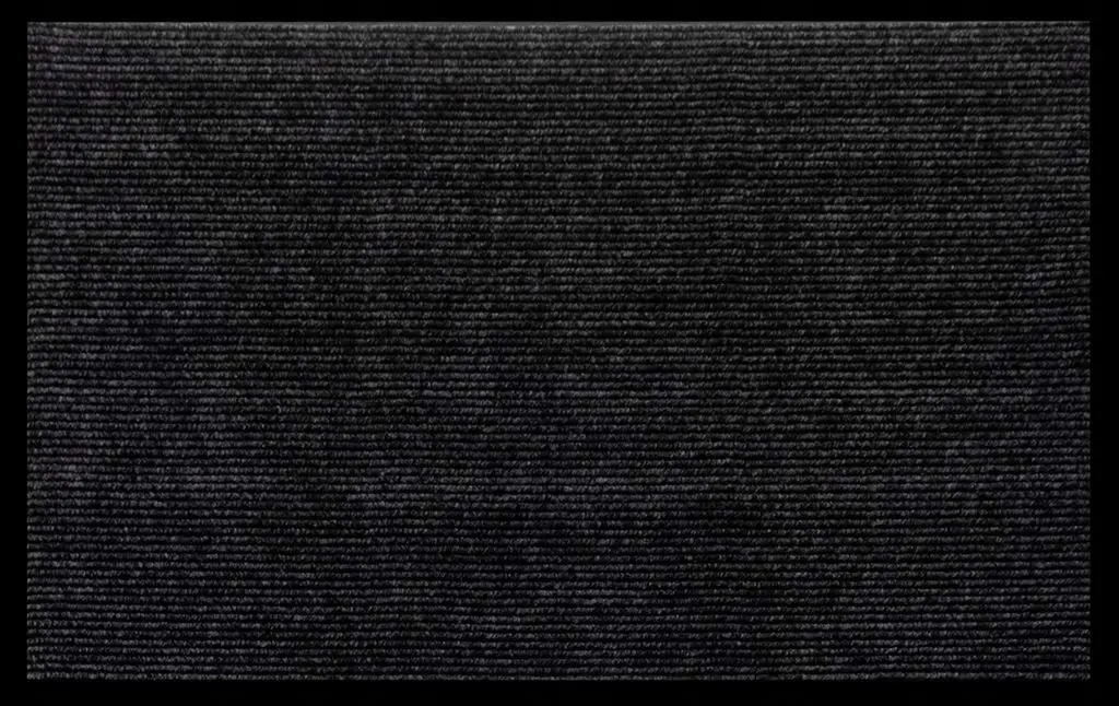 Covor intrare Ruhhy 22055, negru/gri pe tehnoparc.md Covor intrare Ruhhy 22055, negru/gri
