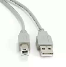 Cablu Cablexpert CCP-USB2-AMBM-6G, gri
