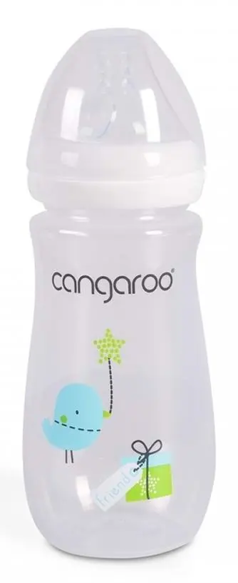Biberon pentru bebeluși Cangaroo Birdy Blu Boy C0563 300ml pe tehnoparc.md Biberon pentru bebeluși Cangaroo Birdy Blu Boy C0563 300ml