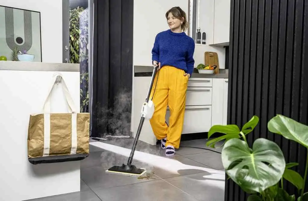 Пароочиститель Karcher SC 1 Multi & Up, белый
