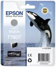 Картридж Epson C13T76074010 Light Black