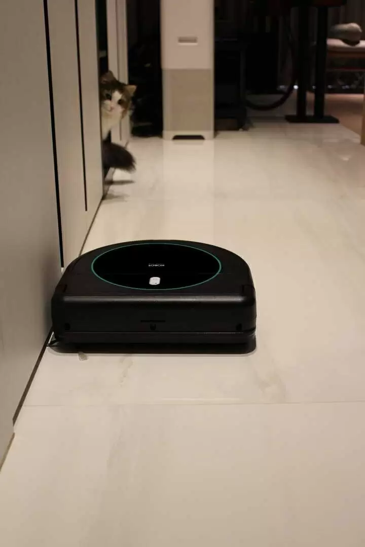 Робот-пылесос Hobot Technology Legee 669, черный