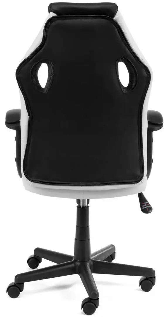 Scaun gaming Akord F4G FG-19, alb/negru pe tehnoparc.md Scaun gaming Akord F4G FG-19, alb/negru