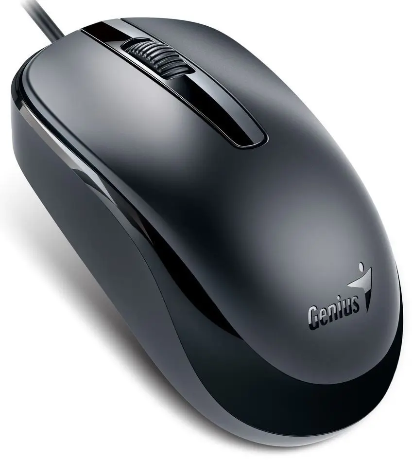 Mouse Genius DX-120, negru pe tehnoparc.md Mouse Genius DX-120, negru