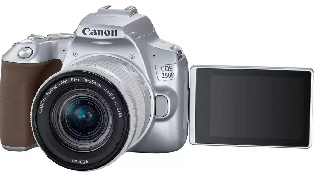 Зеркальный фотоаппарат Canon EOS 250D + EF-S 18-55mm f/3.5-5.6 IS STM, серебристый