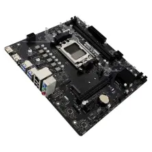 Материнская плата Biostar A620MS