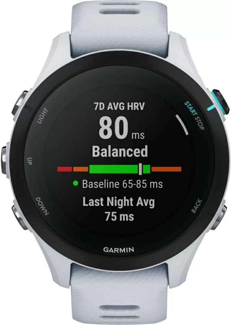 Умные часы Garmin Forerunner 255S Whitestone