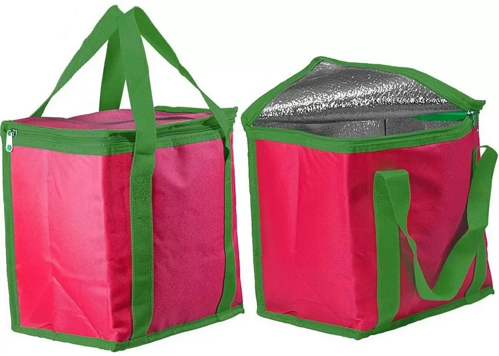 Geantă frigorifică Royokamp Thermal Bag 12L