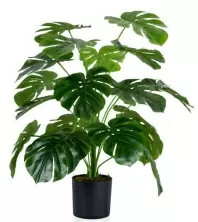 Искусственное растение Cilgin G333 Monstera 60см
