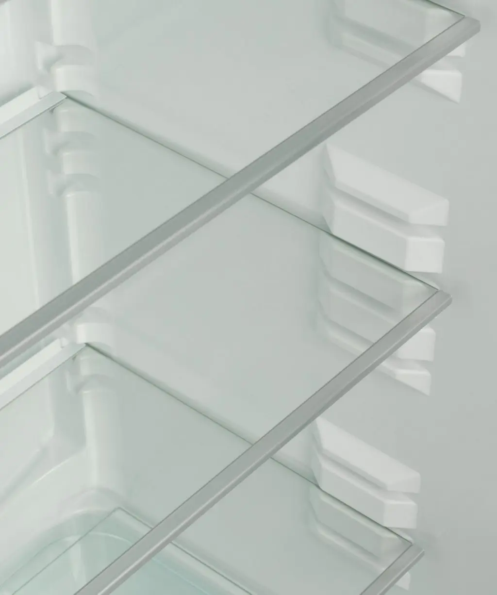 Frigider Snaige RF58SG-P5CBNF, inox pe tehnoparc.md Frigider Snaige RF58SG-P5CBNF, inox