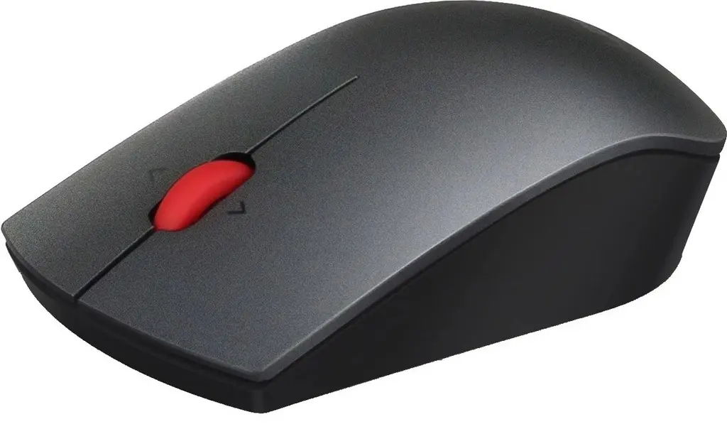Mouse Lenovo Professional Wireless Laser Mouse, negru/gri