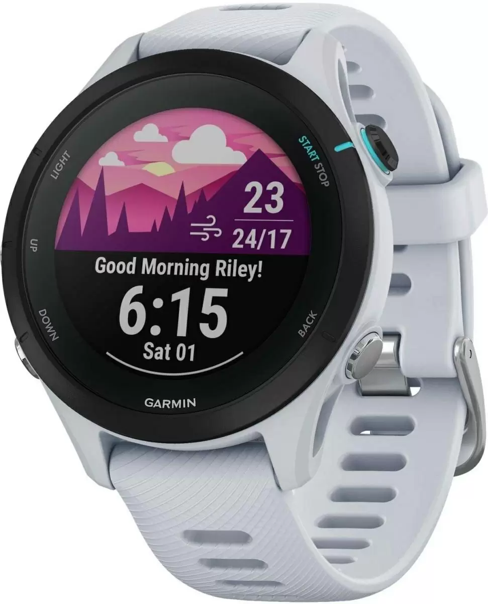 Умные часы Garmin Forerunner 255S Whitestone