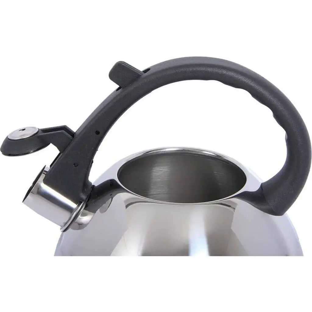 Ceainic Domotti Ponti 1.5L, inox