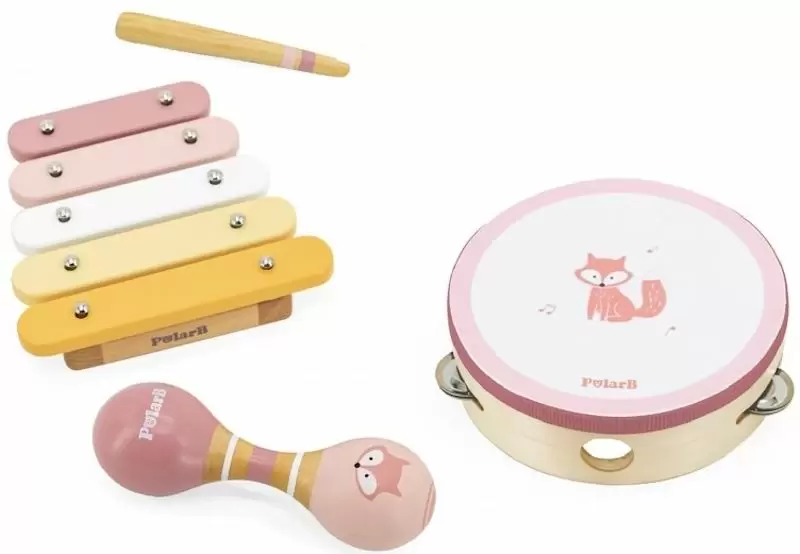 Набор музыкальных инструментов Viga Toys PolarB 44214, зеленый/розовый