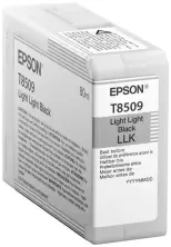 Картридж Epson T850900 LL, black