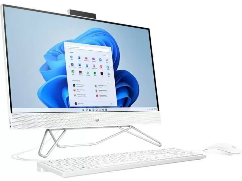 All-in-One HP 24-cb0058ur (23.8"/FHD/Ryzen 5 5500U/8GB/256GB+1TB/Win_11_SL), alb