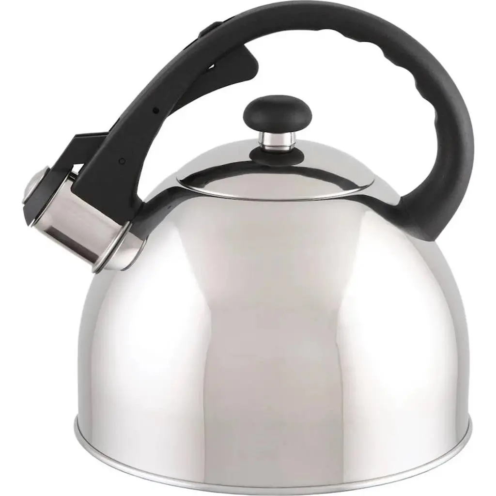 Ceainic Domotti Ponti 1.5L, inox
