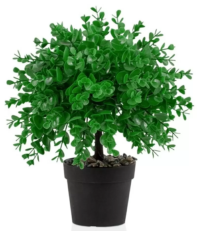 Plantă artificială Cilgin CLG05S Boxwood 27cm