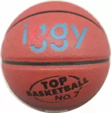 Мяч баскетбольный Iggy IGBB-PRO, коричневый