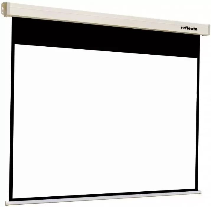 Экран для проектора Reflecta Crystal-Line Motor RC (300x233 см)