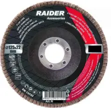 Шлифовальный диск Raider 164120