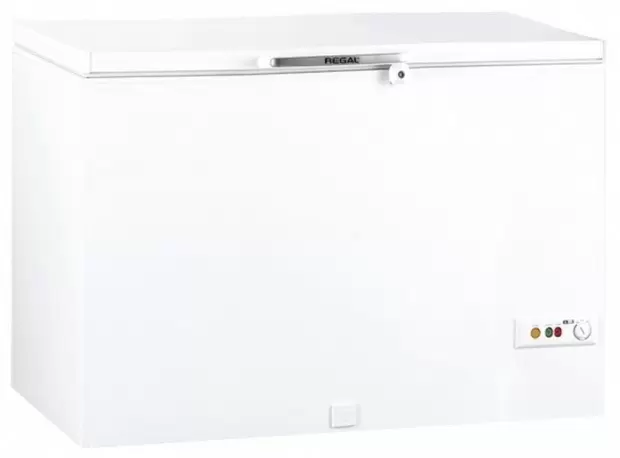 Ladă frigorifică Regal RGL 400, alb