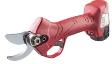 Secatore cu baterie Raider RD-PSH02
