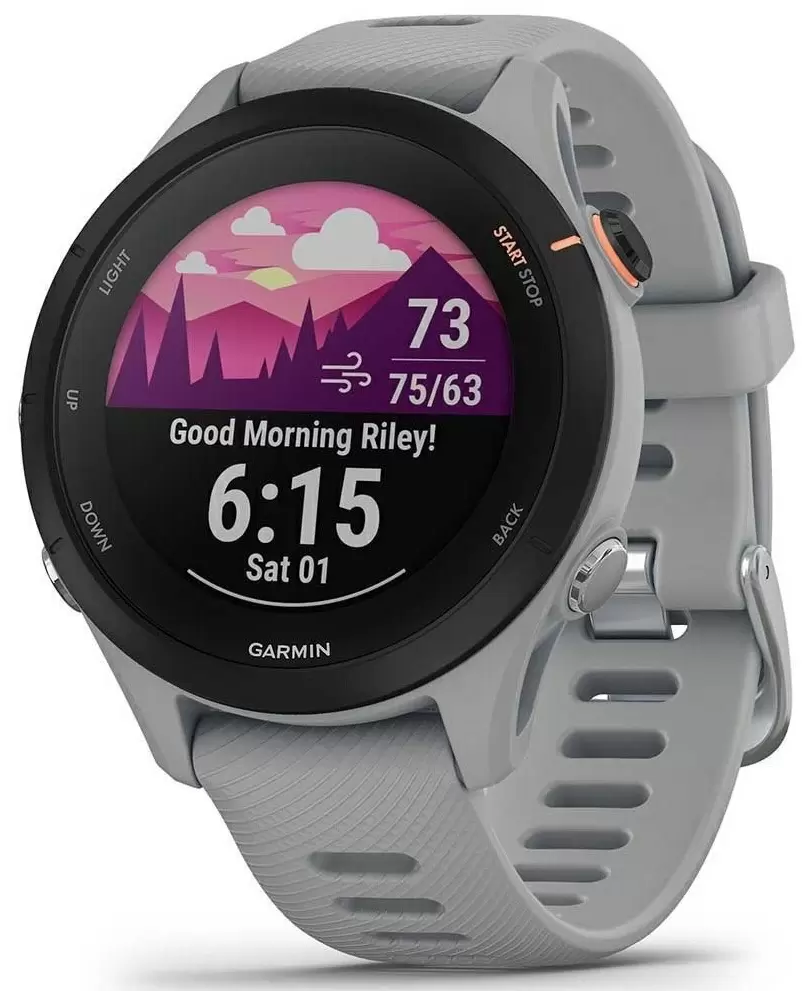 Smartwatch Garmin Forerunner 255S, gri