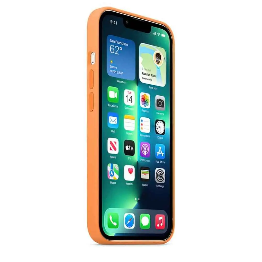 Чехол Apple iPhone 13 Pro, золотой на tehnoparc.md Чехол Apple iPhone 13 Pro, золотой