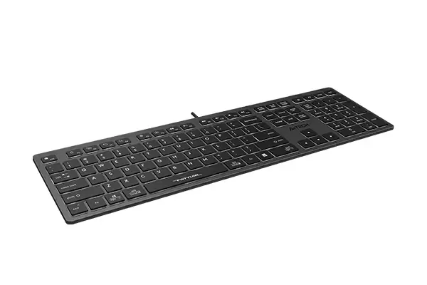 Tastatură A4Tech FX60, gri