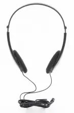 Căşti Panasonic RP-HT010GUH, gri pe tehnoparc.md Căşti Panasonic RP-HT010GUH, gri