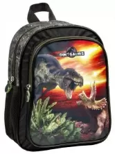 Детский рюкзак Derform Dinosaurs PL11DN18