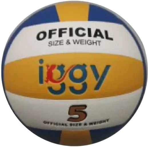 Мяч волейбольный Iggy IGVB-PRO, разноцветный