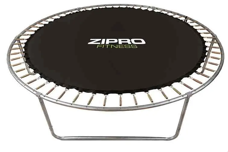 Батут Zipro Jump Pro 496cm, черный/зеленый