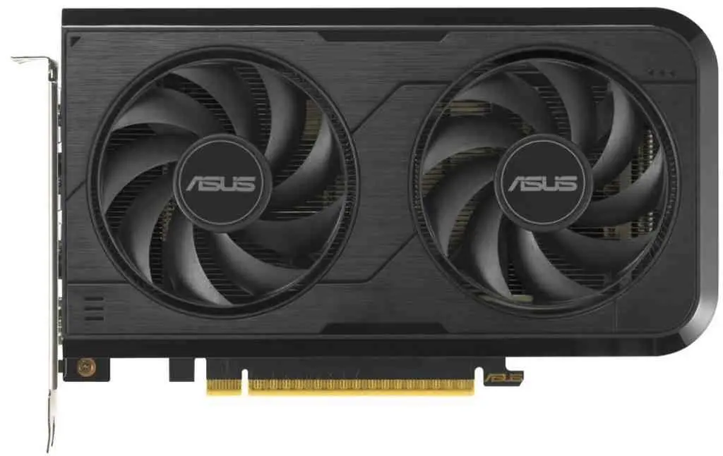 Видеокарта Asus GeForce RTX5050 8GB GDDR6 Dual OC