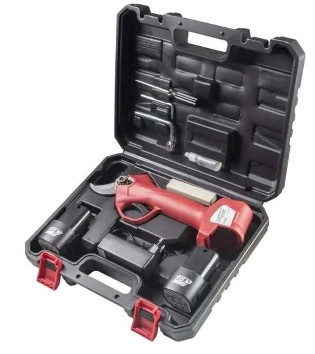 Secatore cu baterie Raider RD-PSH02