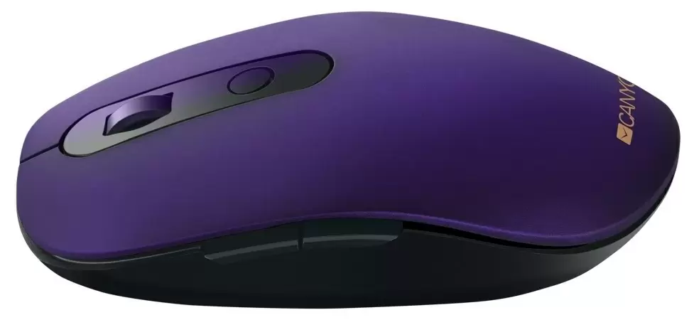 Mouse Canyon MW-9, violet