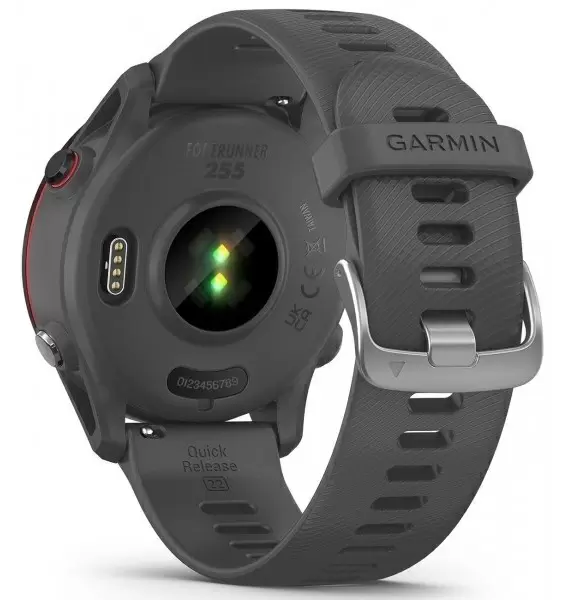 Smartwatch Garmin Forerunner 255, gri