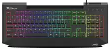 Tastatură Genesis Lith 400 RGB (US), negru