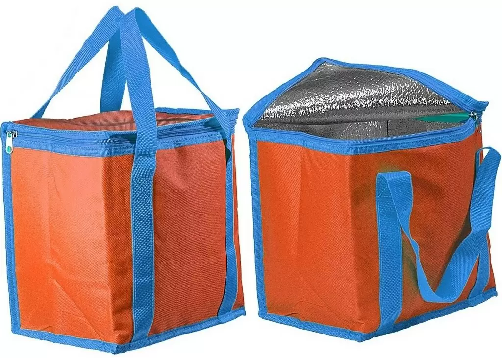 Geantă frigorifică Royokamp Thermal Bag 12L